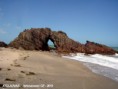 /album/natureza/dsc06956a-jpg/