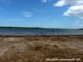 /album/natureza/p1040173a-jpg/