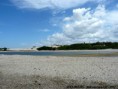 /album/natureza/p1040182a-jpg/