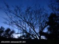/album/natureza/p1040202a-jpg/